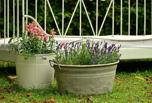 Les conseils essentiels pour préparer vos pots et seaux avant de planter