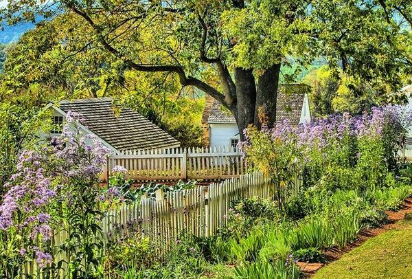 Le jardin de l'été est coloré et parfumé grâce aux fleurs adéquates